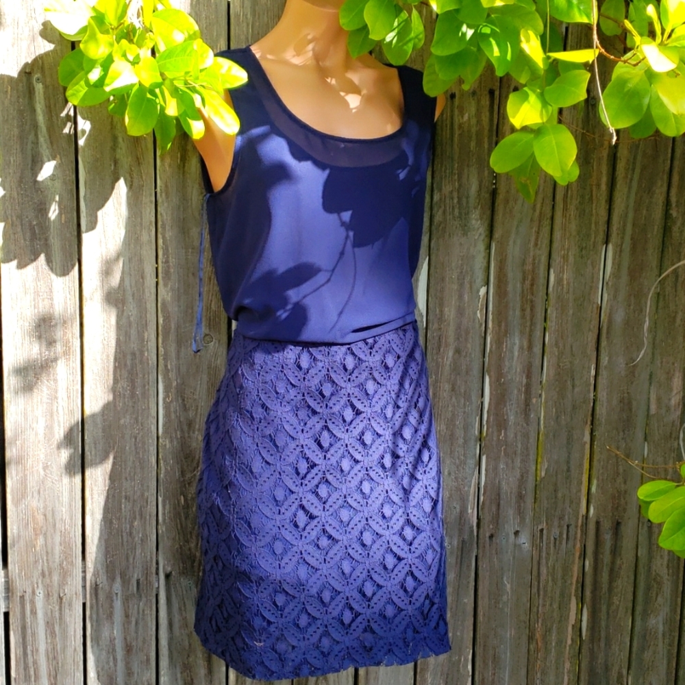TAYLOR Navy Lace Middi dress